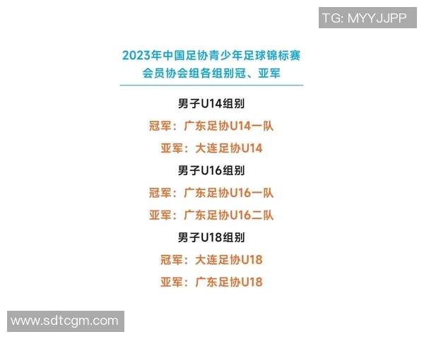 广东足球明星队正式成立助力地方足球发展与青训体系建设